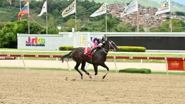Benedetta a derrochar su clase en el Clásico Internacional Sprinters (GII) para yeguas en La Rinconada Benedetta a derrochar su clase en el Clásico Internacional Sprinters (GII) para yeguas en La Rinconada