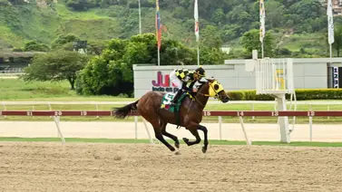 Ping Pong por la revancha contra Templario en la Gala Hípica de Caracas Ping Pong por la revancha contra Templario en la Gala Hípica de Caracas