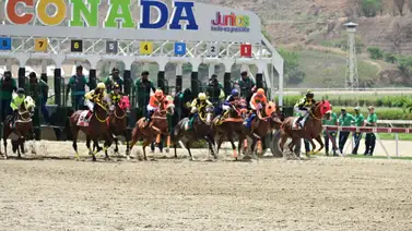 Mira la nómina de los ejemplares a participar en la Copa Invitacional del Caribe Mira la nómina de los ejemplares a participar en la Copa Invitacional del Caribe