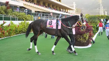 Nieta de Taconeo hace su debut en jornada clásica en La Rinconada Nieta de Taconeo hace su debut en jornada clásica en La Rinconada