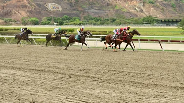 Yegua que está invicta en 2024 reaparece después de 77 días en La Rinconada