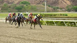 Yegua que siempre han tenido por buena reaparece este domingo en La Rinconada