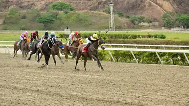 Yegua que siempre han tenido por buena reaparece este domingo en La Rinconada Yegua que siempre han tenido por buena reaparece este domingo en La Rinconada