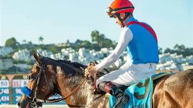 Ganador Clásico que entrena Bob Baffert es retirado a la cría por esta razón Ganador Clásico que entrena Bob Baffert es retirado a la cría por esta razón