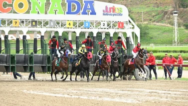 Mejor caballo maduro de 2024 reaparece después de 77 días de descanso