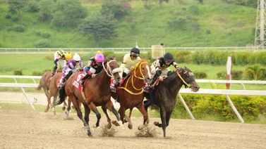 Caballo que su última actuación fue puesta bajo averiguación reaparece después de 406 días en La Rinconada