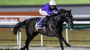 Dos hijos del mejor semental del mundo se miden en stakes G1 de Estados Unidos Dos hijos del mejor semental del mundo se miden en stakes G1 de Estados Unidos