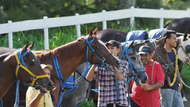 Conoce el primer retirado del 5y6 de la reunión 32 en La Rinconada Conoce el primer retirado del 5y6 de la reunión 32 en La Rinconada