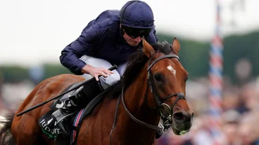 El mejor jockey y el mejor potro del mundo ganan en tiempo récord (+video)