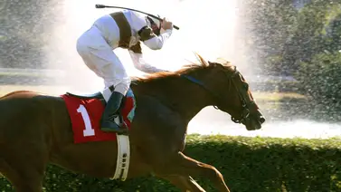 Jockey de 70 años ganó con las dos primeras montas del día en este hipódromo Jockey de 70 años ganó con las dos primeras montas del día en este hipódromo
