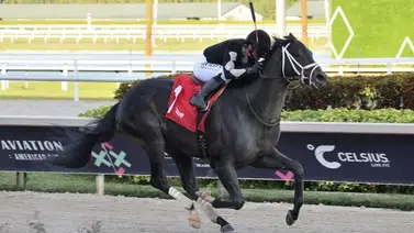Yunta venezolana va por stakes Grado 1 de $500.000 en Saratoga Yunta venezolana va por stakes Grado 1 de $500.000 en Saratoga