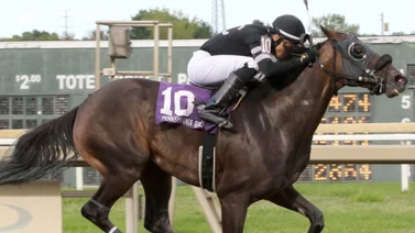 Jockey venezolano hace vibrar la taquilla con astronómico dividendo