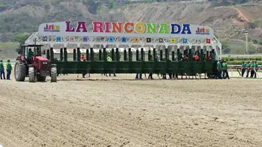 Mira como ajustó la potra más cara de la subasta de Unicria 2023 Mira como ajustó la potra más cara de la subasta de Unicria 2023