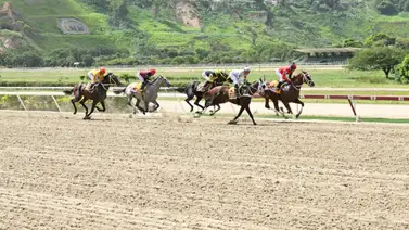 Así fue el ajuste de la línea de Gaceta Hípica en un domingo de Gala en La Rinconada Así fue el ajuste de la línea de Gaceta Hípica en un domingo de Gala en La Rinconada