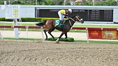 Este fue el ajuste de Daniela Runner con miras a disputar el Clásico Cruz del Ávila