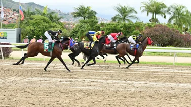 Como ajustó este ejemplar puede ser una línea de pantalones largos en la octava carrera de la R32 en La Rinconada