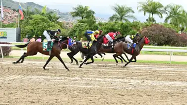 Como ajustó este ejemplar puede ser una línea de pantalones largos en la octava carrera de la R32 en La Rinconada Como ajustó este ejemplar puede ser una línea de pantalones largos en la octava carrera de la R32 en La Rinconada