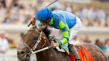 Caballo que más dinero ha producido este año reaparece este sábado y paga una fortuna en el Morning Line Caballo que más dinero ha producido este año reaparece este sábado y paga una fortuna en el Morning Line