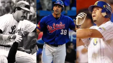 ¿Quién es el jugador con más jonrones en una temporada de la LVBP?