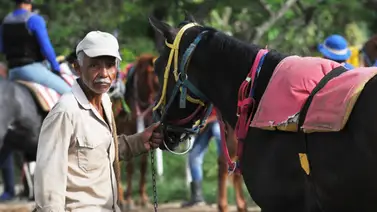 Datos de última hora para el Hipódromo Internacional La Rinconada 25-8-2024 Datos de última hora para el Hipódromo Internacional La Rinconada 25-8-2024