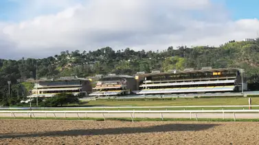 Favoritos de la cátedra para el 5y6 Nacional de la reunión N°32 en el hipódromo La Rinconada Favoritos de la cátedra para el 5y6 Nacional de la reunión N°32 en el hipódromo La Rinconada