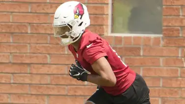 NFL suspendió a estrella de los Arizona Cardinals por violar la política de conducta de la liga NFL suspendió a estrella de los Arizona Cardinals por violar la política de conducta de la liga