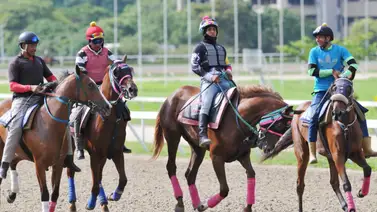 Mira quién será el entrenador de los ejemplares argentinos que llegaron a La Rinconada Mira quién será el entrenador de los ejemplares argentinos que llegaron a La Rinconada