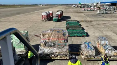 Conoce cómo fue el proceso para traer a los ejemplares de Argentina a Venezuela Conoce cómo fue el proceso para traer a los ejemplares de Argentina a Venezuela