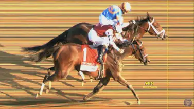 Fierceness gana en final de foto el Travers Stakes 2024 Fierceness gana en final de foto el Travers Stakes 2024