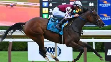 Mira lo que dijo el entrenador de Thorpedo Anna después del Travers Stakes Mira lo que dijo el entrenador de Thorpedo Anna después del Travers Stakes