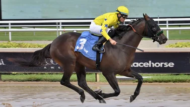 Cipriano Gil fue el jockey venezolano más destacado en Gulfstream Park