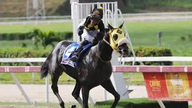 El Gran Eladio y Johan Aranguren sobrados en la Copa Invitacional del Caribe El Gran Eladio y Johan Aranguren sobrados en la Copa Invitacional del Caribe