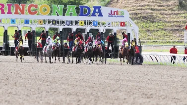 Cuadros con seis pagan excelentes dividendos en La Rinconada