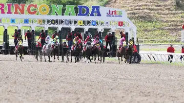 Cuadros con seis pagan excelentes dividendos en La Rinconada Cuadros con seis pagan excelentes dividendos en La Rinconada