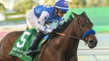 Potro invicto de Bob Baffert regresa a las pistas después de varios meses Potro invicto de Bob Baffert regresa a las pistas después de varios meses