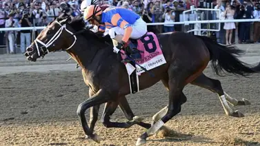 John Velazquez suspendido y se perderá estos días de carreras John Velazquez suspendido y se perderá estos días de carreras