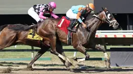 Jockey venezolano gana 5 carreras y se coloca tercero en esta estadística