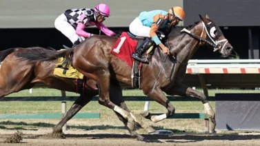 Jockey venezolano gana 5 carreras y se coloca tercero en esta estadística