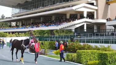 INH presenta a los inscritos para la reunión 33 en La Rinconada INH presenta a los inscritos para la reunión 33 en La Rinconada