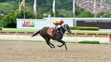 Fast Sensations muy cerca de superar a Gelinotte en este renglón 