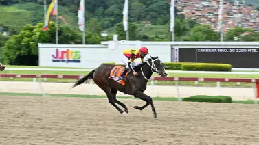 Fast Sensations muy cerca de superar a Gelinotte en este renglón Fast Sensations muy cerca de superar a Gelinotte en este renglón