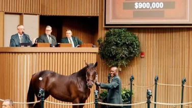 Javier Castellano debuta potro de $900.000 que entrena Bill Mott
