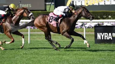 Irad Ortiz Jr. es suspendido y multado por esta razón Irad Ortiz Jr. es suspendido y multado por esta razón