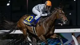 Esta es la invicta hija de Justify que puede enfrentar a Thorpedo Anna en la Breeders´Cup Distaff