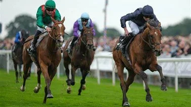 El mejor entrenador del mundo dice que este es el mejor caballo que entrenó en su vida