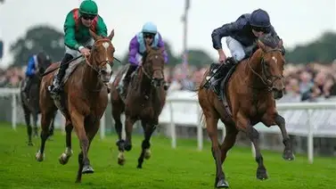 El mejor entrenador del mundo dice que este es el mejor caballo que entrenó en su vida El mejor entrenador del mundo dice que este es el mejor caballo que entrenó en su vida