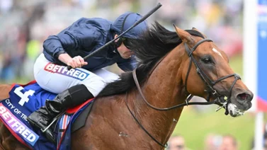 Estos son los 10 mejores caballos del mundo
