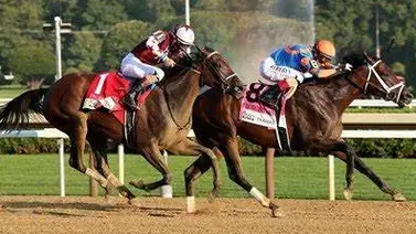 Suspenden al jockey de Thorpedo Anna por esta razón Suspenden al jockey de Thorpedo Anna por esta razón