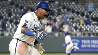 MLB: Vea en qué zona golpea la pelota con más poder Salvador Pérez (+video)