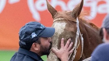 Javier Castellano y Jorge Delgado de nuevo en yunta para stakes de Grado esta semana